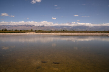 View of the lake, vineyard and mountains in the horizon. Beautiful blue sky with clouds reflection in the water surface.