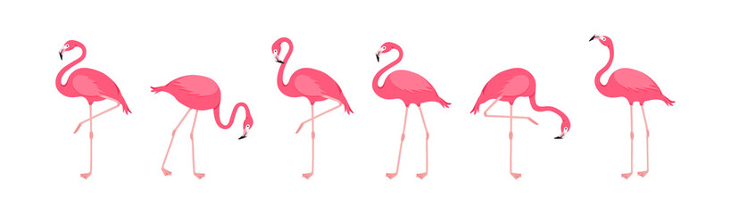 Flamingo vector icon, cartoon pink tropical bird, summer animal set, cute zoo character isolated on white background. Exotic fauna illustration