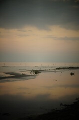 Naklejka premium A man alone on the beach facing the sea while his image is reflected in the sand