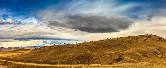 Monument to wild horses in Montana
