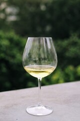 glass of white wine