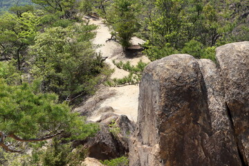 湖南アルプス堂山の登山道の風景