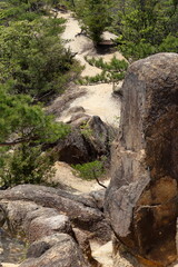 湖南アルプス堂山の登山道の風景