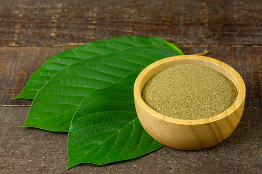 Mitragyna Speciosa Korth or kratom powder on wooden bowl wtih green leaf on rustic wooden background. 