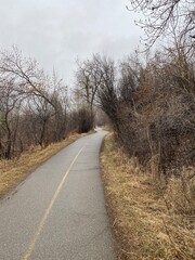 road in the countryside