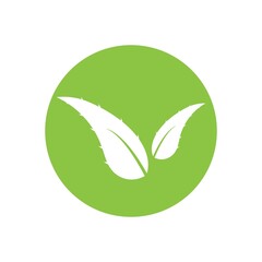 aloe vera logo design icon vector