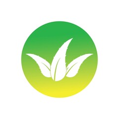 aloe vera logo design icon vector