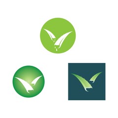 Obraz premium aloe vera logo design icon vector