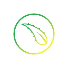 Obraz premium aloe vera logo design icon vector
