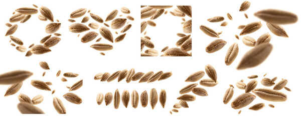 A set of photos. Rye grains levitate on a white background