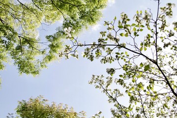 目を閉じて風を感じる...