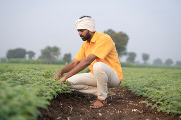 Naklejka na ściany i meble Indian farmer sitting at agriculture field or showing finger