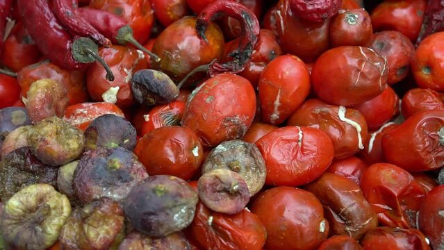 Food Loss at the Farm Level. Rotten spoiled fresh tomatoes. Crop Damage Due to Weather, Disease, and Pests. It's an accepted fact that some of the produce on a farm is lost