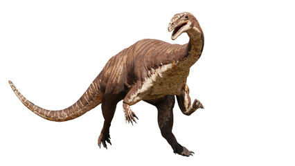 Plateosaurus, dinosaur from 214 to 204 million years ago, isolated on white background