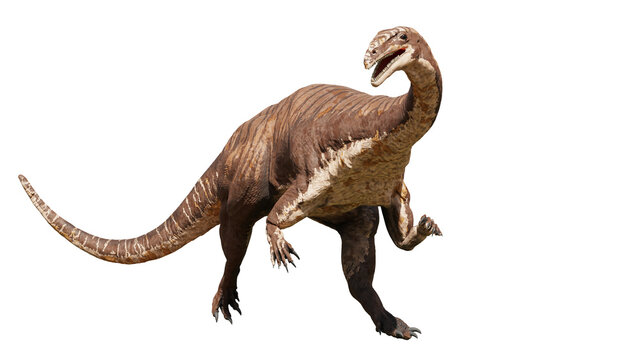 Plateosaurus, dinosaur from 214 to 204 million years ago, isolated on white background