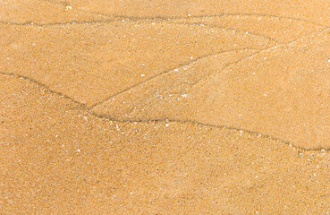 Wave pattern on sand beach, blank brown sand texture background