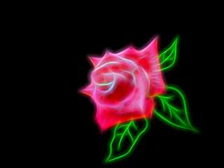 An abstract image with a pink rose on a black background.