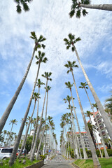 南国のようなリビエラ逗子マリーナ