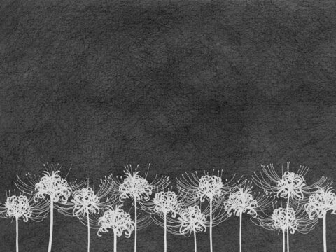 白い彼岸花 の画像 4 077 件の Stock 写真 ベクターおよびビデオ Adobe Stock