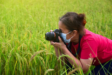 An asian senior woman wears jeans, red t-shirt, mask and holds digital camera to shot the ears of rice in the green rice paddy field happily. happy life after early retire concept. - Powered by Adobe