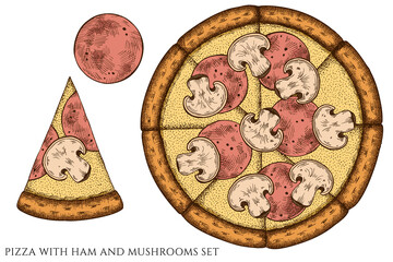 Pizza hand drawn vector illustrations collection. Colored pizza with ham and mushrooms.