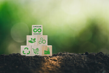 Circular economy concept on a wood block, recycle, environment, reuse, manufacturing, waste, consumer, resource for Sustainable development. - obrazy, fototapety, plakaty