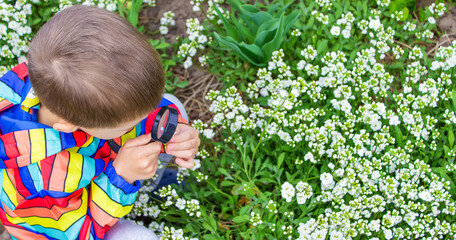 The child looks through a magnifying glass at the flowers Zoom in.