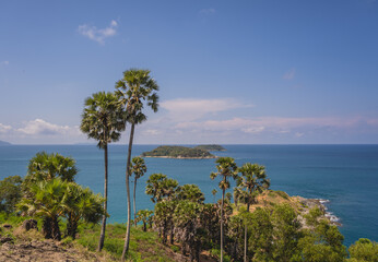 Fototapeta na wymiar Beautiful mountains with palms landscape in the ocean