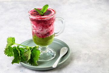 Delicious dessert with a layer of yogurt, nettle smoothie and honeysuckle jam. Dessert is served in a glass with a spoon. Copy space