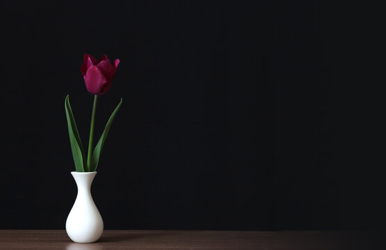 Lilac tulip flower in a vase.