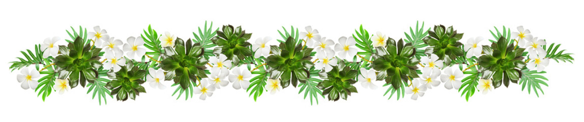 Succulent and tropical flowers and leaves in a floral line arrangement (garland) isolated on white