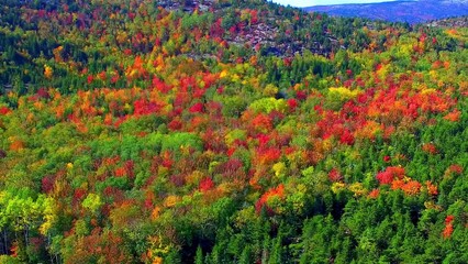 Amazing aerial view of Acadia National Park in October from drone, foliage season