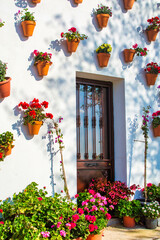 Beautiful White Facade Of A House Surrounded By Plants. Small Town House