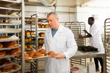 Worker of bakery putting baked baguettes on tray rack. High quality photo