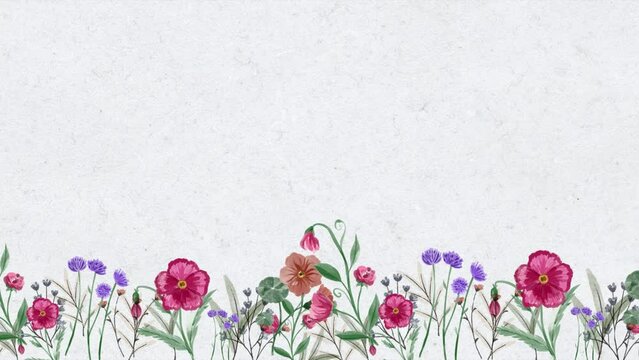 Animated wild flowers on paper background 30 sec 