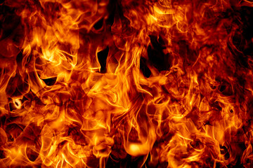 Fototapeta premium Texture of fire on a black background. Abstract fire flame background, large burning fire.