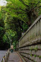 東京の赤坂6丁目の氷川神社に続く道
