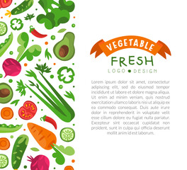 Fresh Vegetable Design with Ripe Harvested Agricultural Crop Vector Template