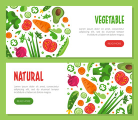 Fresh Vegetable Design with Ripe Harvested Agricultural Crop Vector Web Template