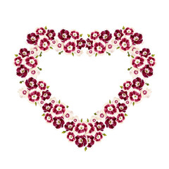 Carnation Turkish, or bearded. Burgundy flowers. Wreath in the shape of a heart. Vintage watercolor botanical illustration isolated on white background.