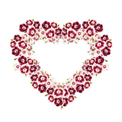 Carnation Turkish, or bearded. Burgundy flowers. Wreath in the shape of a heart. Vintage watercolor botanical illustration isolated on white background.