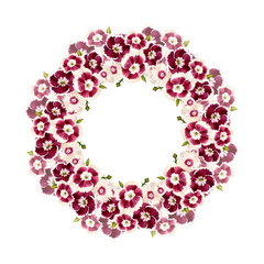 Obraz premium Wreath of burgundy flowers. Carnation Turkish, or bearded. Vintage watercolor botanical illustration isolated on white background.