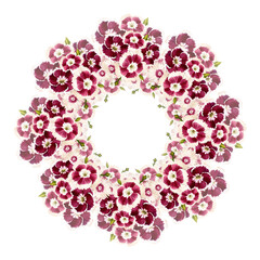 Wreath of burgundy flowers. Carnation Turkish, or bearded. Vintage watercolor botanical illustration isolated on white background.