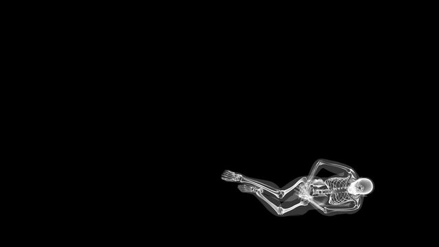 Human xray body and skeleton, big stomack pain loop