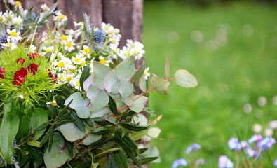 kräuter am holzzaun