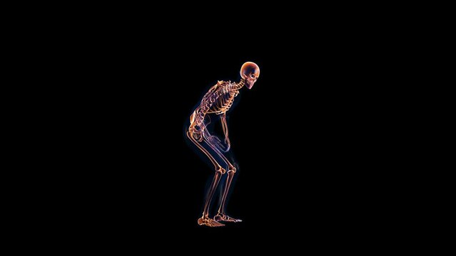 Human x-ray body and skeleton, stomack pain loop, Alpha Channel
