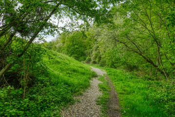 Fototapeta na wymiar Wanderweg auf einer ehemaligen Kalkhalde im Wuppertal Lüntenbeck