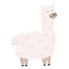 Cute alpaca in cartoon hand drawn style. Vector illustration of lama animal isolated on white background