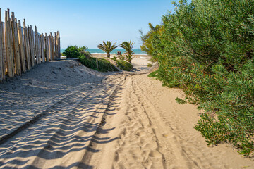 Path to the beach under the golden sunrise