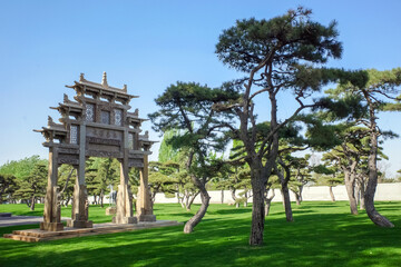 ancient archway building architecture with pine tree and meadow